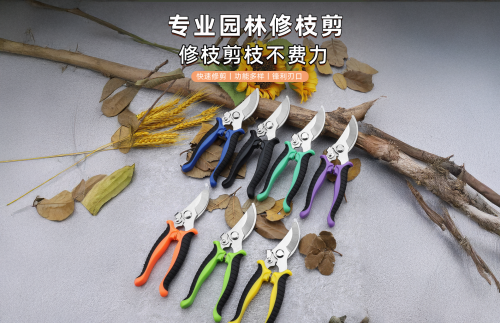 3d9fe285cd21d67f1e9bbe12313ce075.png